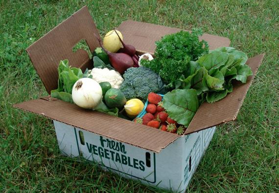 A CSA Box in June - Driftless Organics